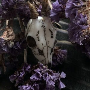 K&ouml;nnte beinhalten: Ein wei&szlig;er Keramik-Hirschsch&auml;del-Anh&auml;nger mit Geweih, der an einer silbernen Kette h&auml;ngt. Der Anh&auml;nger ist von getrockneten lila Blumen umgeben.