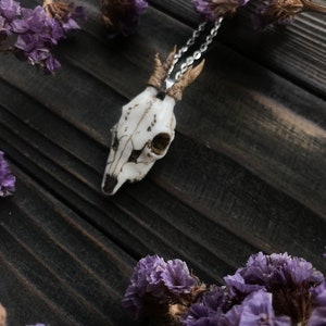 K&ouml;nnte beinhalten: Eine Halskette mit einem wei&szlig;en Hirschsch&auml;del-Anh&auml;nger an einer silbernen Kette. Die Kette liegt auf einer dunklen Holzoberfl&auml;che mit getrockneten lila Blumen.