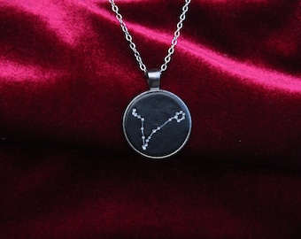 Sternzeichen Kette Pisces / Pisces Sternzeichen Kette / Astrologie Geschenke / Sternzeichen Schmuck / Geburtstagsgeschenk Februar März April