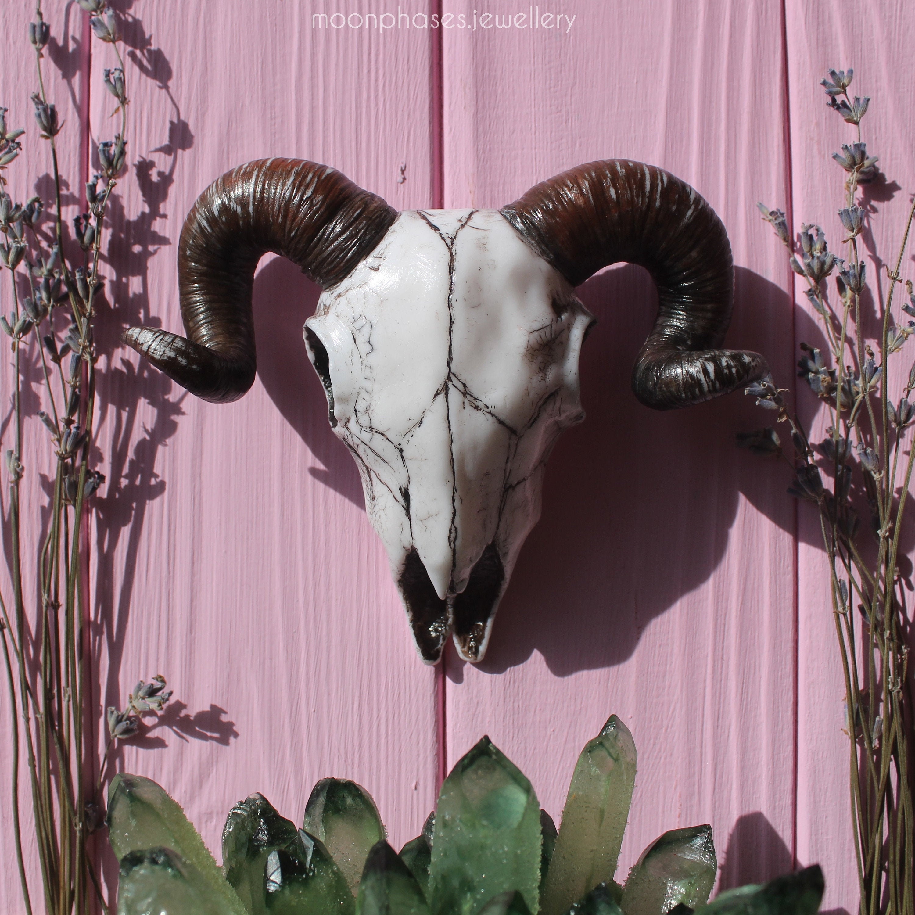 Skull Wall Hanging / Animal Skull / Wiccan Decor / Gothic Home Etsy