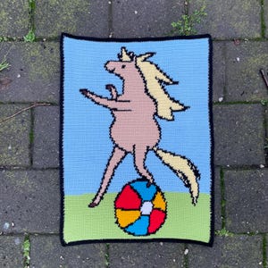 May include: A crocheted picture of a pink unicorn balancing on a colorful beach ball. The unicorn has a yellow mane and tail. The background is blue with green grass.