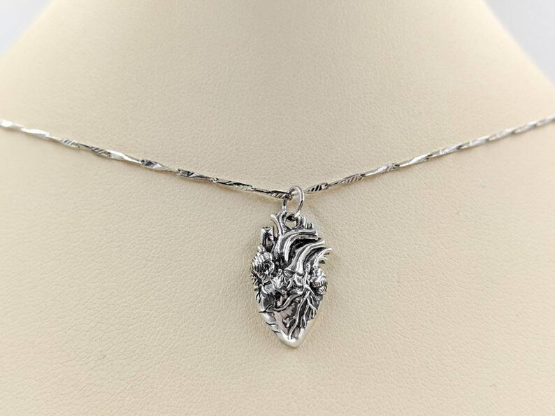 Silver anatomically correct heart 925 anatomical heart real  etsy Silver anatomically correct heart 925 anatomical heart real  etsy