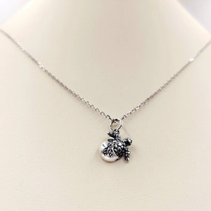 Może przedstawiać: Srebrny naszyjnik z małym wisiorkiem w kształcie żółwia. Żółw siedzi na okrągłym dysku z fakturowaną powierzchnią.