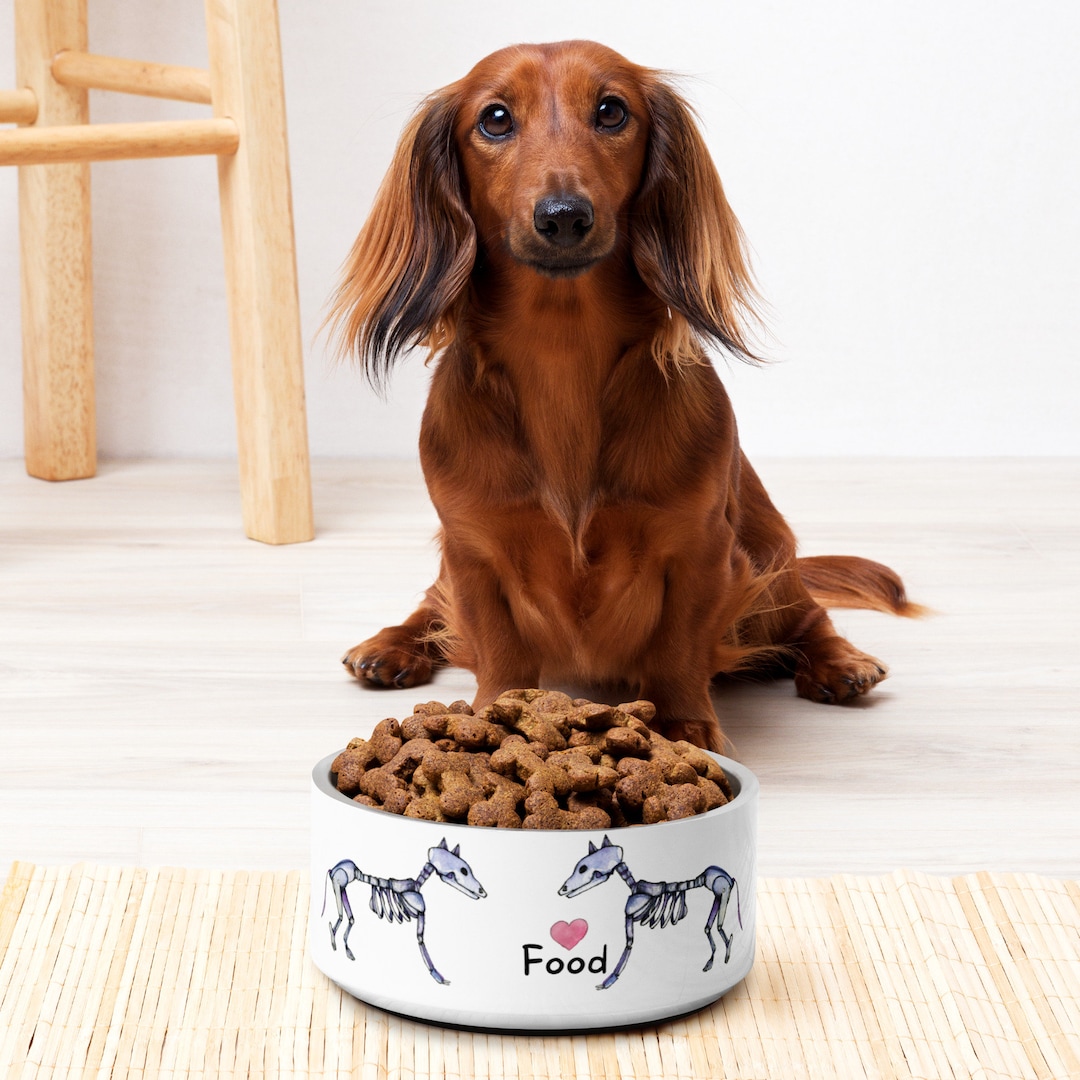 Skeleton Dog Pet Bowl Canada