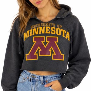 Vintage University of Minnesota Gophers Cropped Hoodie Sweatshirt (L)
