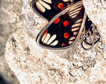 Pendientes de mariposa de estilo único