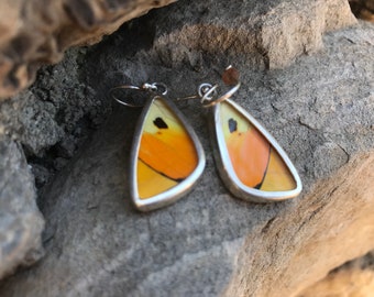 verdaderos pendientes de ala de mariposa naranja vibrante UNHARMED