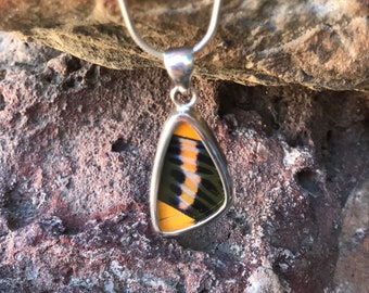 Colgante de ala de mariposa de plata esterlina