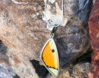 Colgante de ala NARANJA VIBRANTE borde de plata de ley de gran tamaño