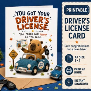 May include: A greeting card featuring a felt-style capybara driving a blue car. Text reads: YOU GOT YOUR DRIVER'S LICENSE. The roads will never be the same. A sign says GOOD VIBES AHEAD and the car has a NEW DRIVER sticker and ROAD TRIP license plate.