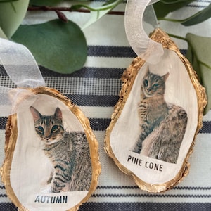 May include: Two gold-painted oyster shell ornaments with cat photos and names. The ornament on the left has a cat photo with the name "Autumn". The ornament on the right has a cat photo with the name "Pine Cone".