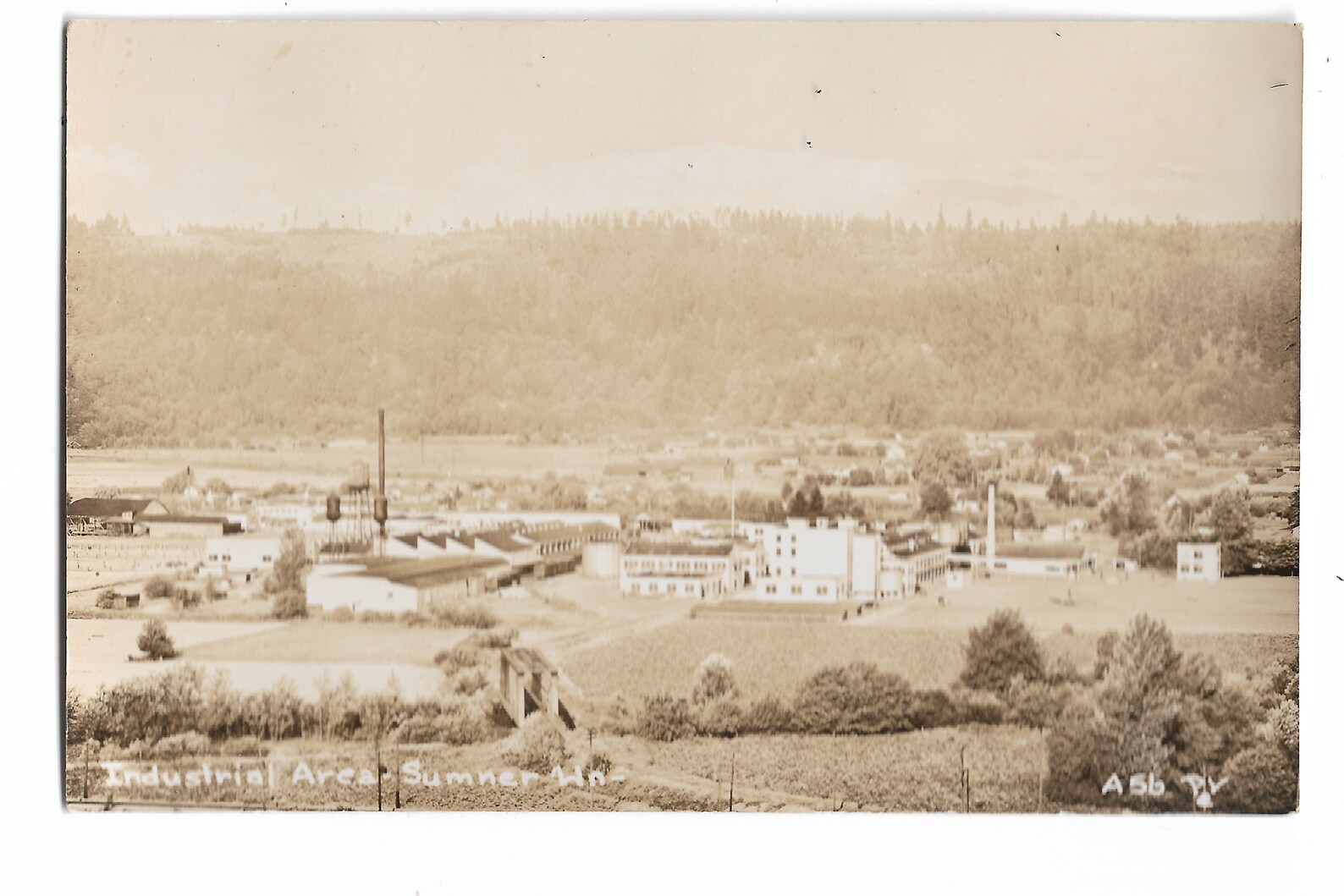 Industrial Area SUMNER Wa postcard pub PV A5b RPPC Etsy