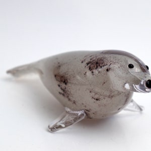 Seal