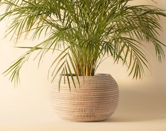 May include: A large, round, white woven basket planter with a green palm plant inside.