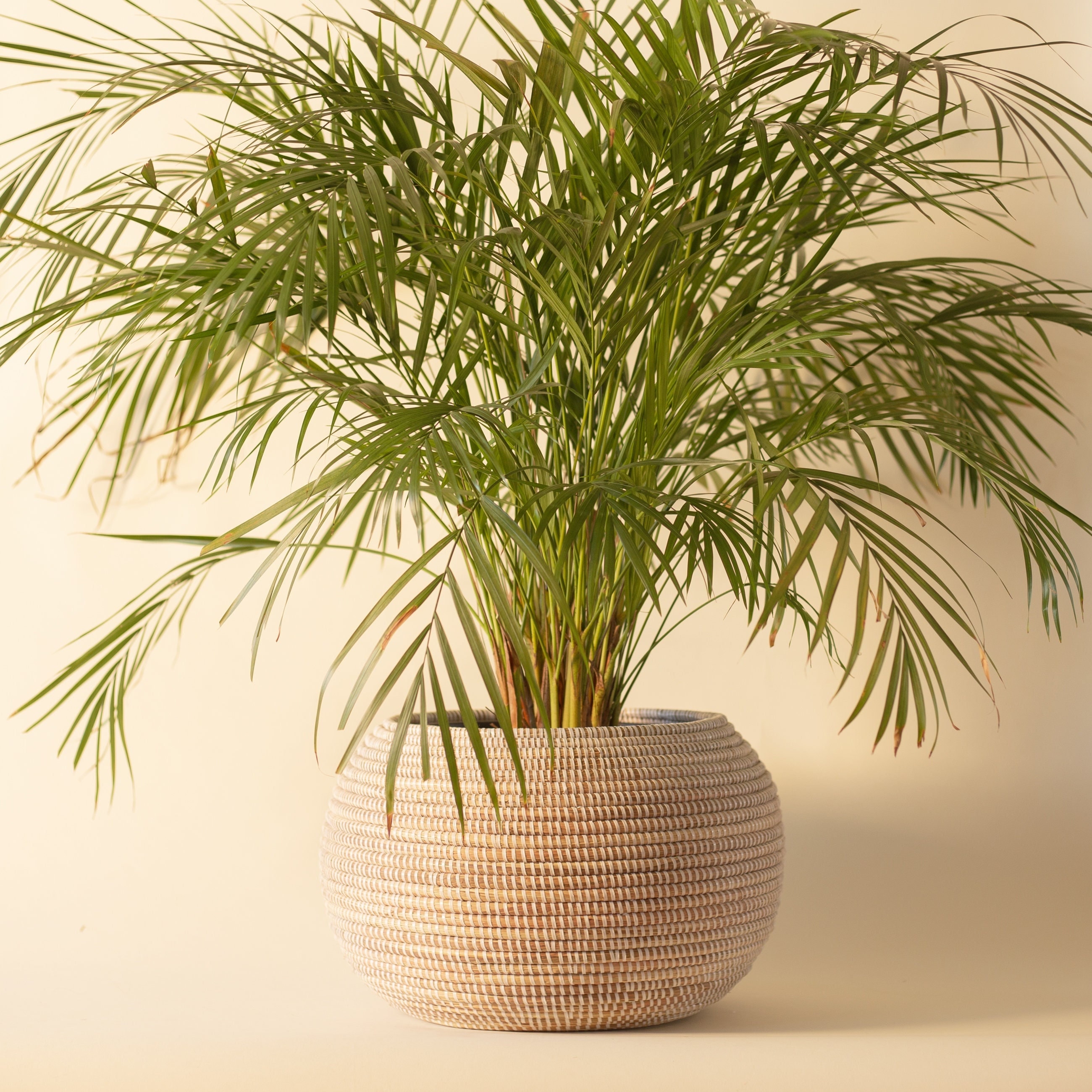 Indoor plant pot 30cm - Etsy.de