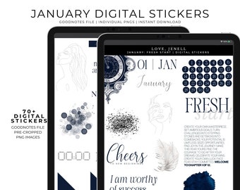 January Digital Planner Stickers- Winter Digital Stickers~ | Pre-Cropped Goodnotes Digital Stickers-Sticker| Blue Silver digital stickers