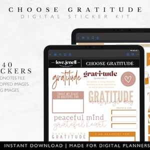 Digital Planner Stickers Gratitude Affirmation~ Pre-Cropped Goodnotes and PNG Digital Planner Stickers -  40 Planner Stickers
