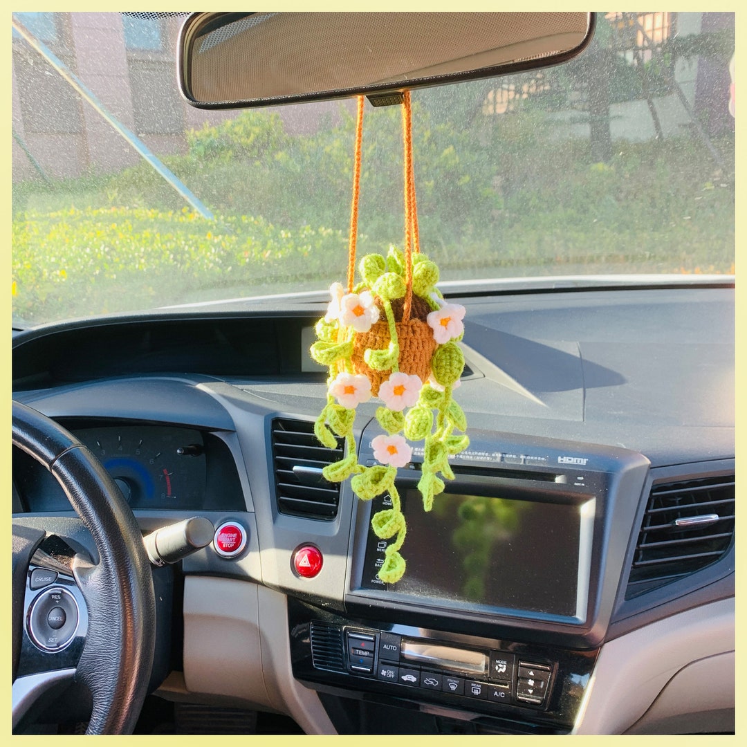 Cute Car Mirror Hanging Bracketplant Chlorophytum Comosum With Flower ...