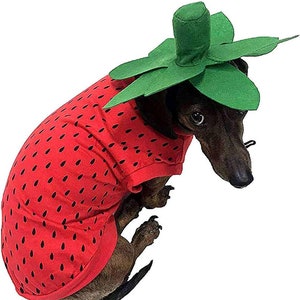 Midlee Strawberry Dog Costume