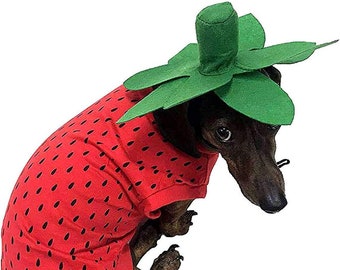 Midlee Strawberry Dog Costume