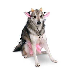 Midlee Cow Headband &amp; Udder Dog Costume - Etsy