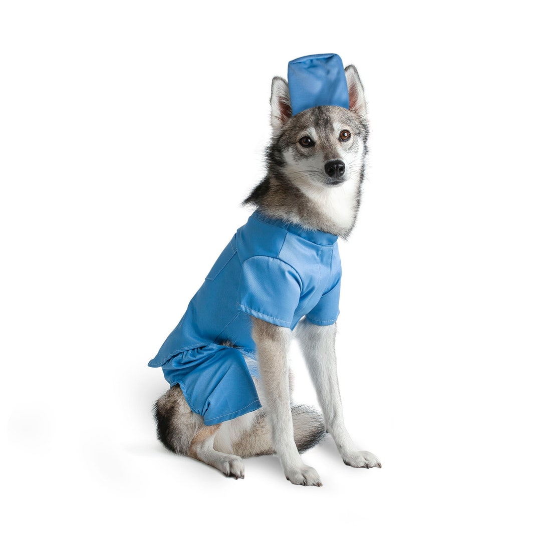 Midlee Scrubs Dog Costume Etsy