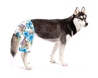 Midlee Blue Hibiscus Hawaiian Dog Board Shorts