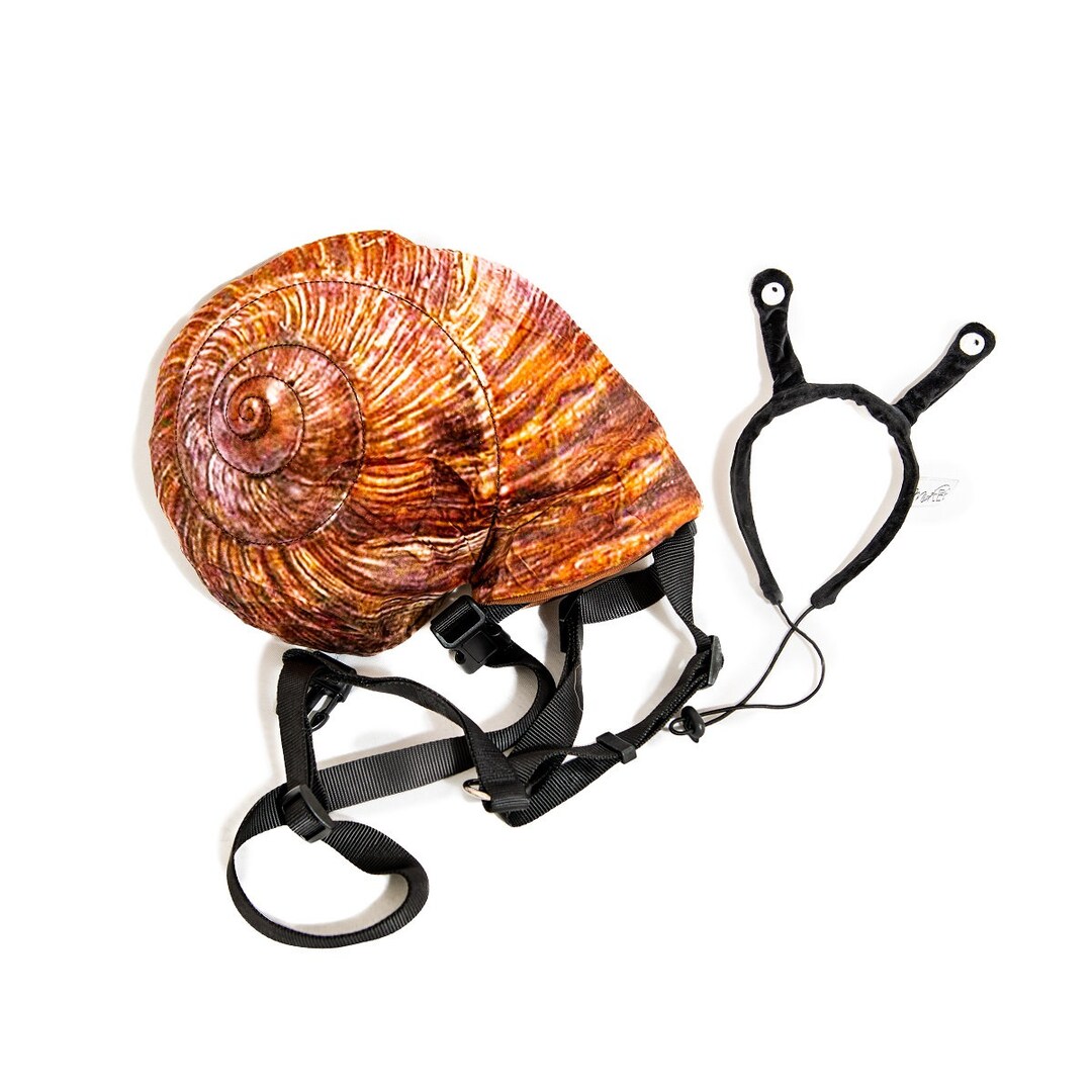 Midlee Snail Headband & Shell Dog Costume Etsy