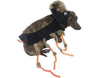 Midlee Scary Spider Dog Costume