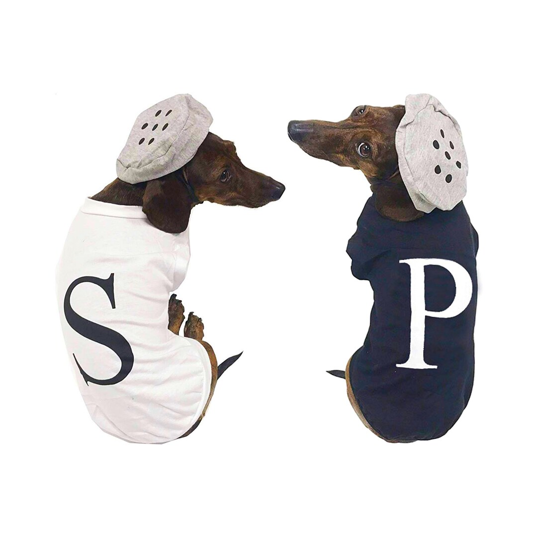 Midlee Salt & Pepper Dog Costume Etsy