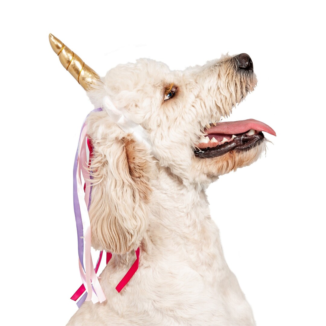 Midlee Dog Unicorn Horn Headband Halloween Costume Etsy
