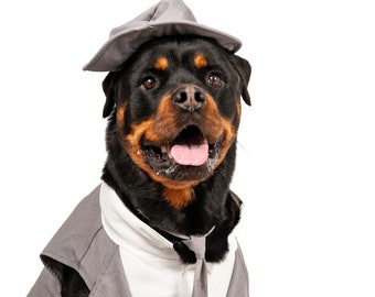 Midlee Dog Tuxedo Wedding Suit - Gray Top Hat & Leash