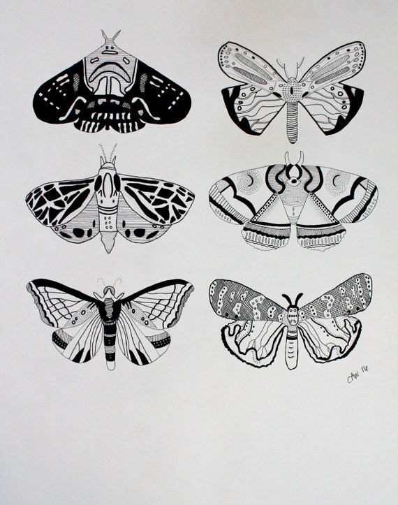 Black And White Butterfly Print Wall Art For The Home Etsy
