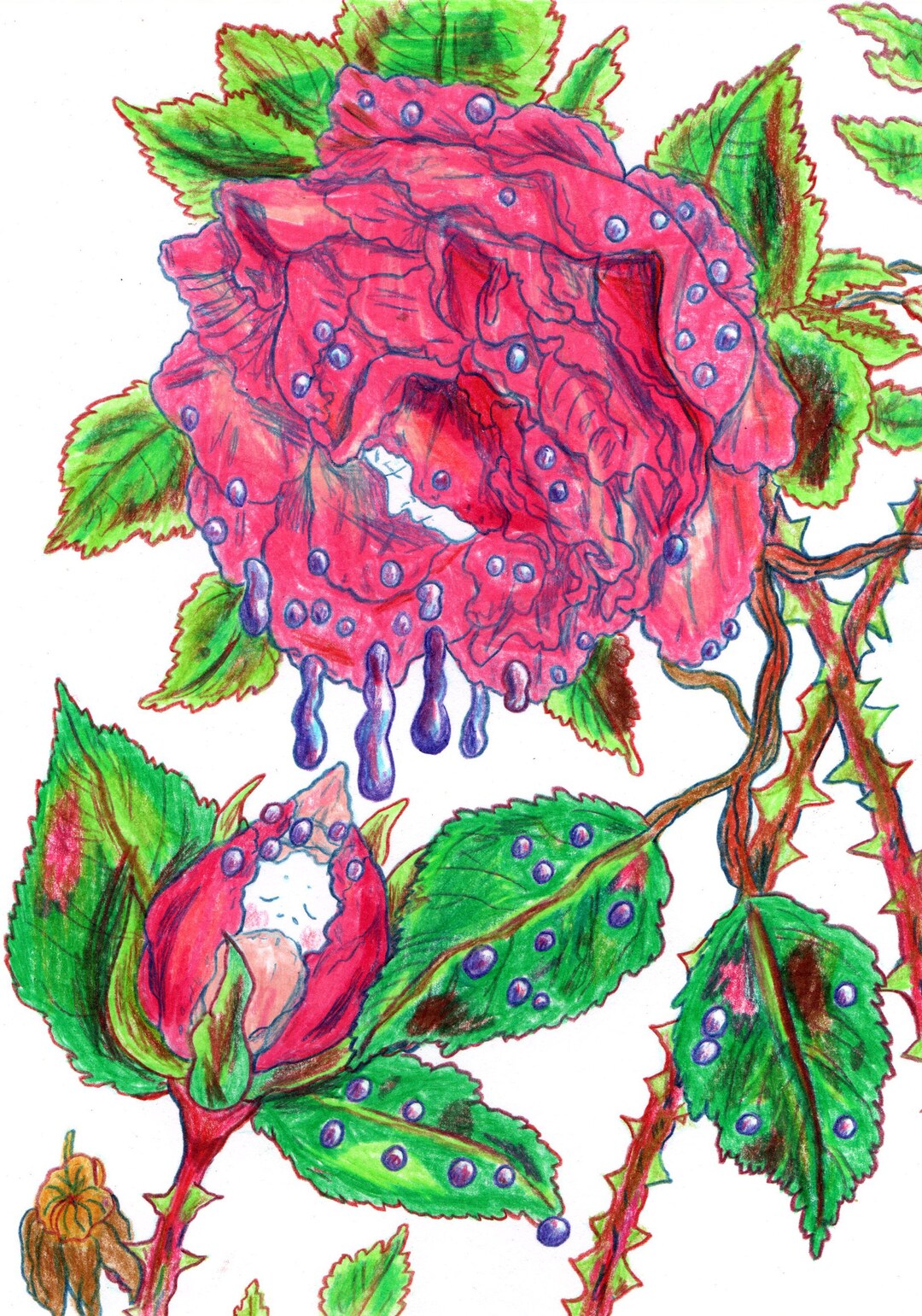 Sweet Poison - Original A5 Drawing - Etsy