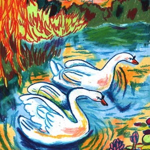 Swans - Original Drawing