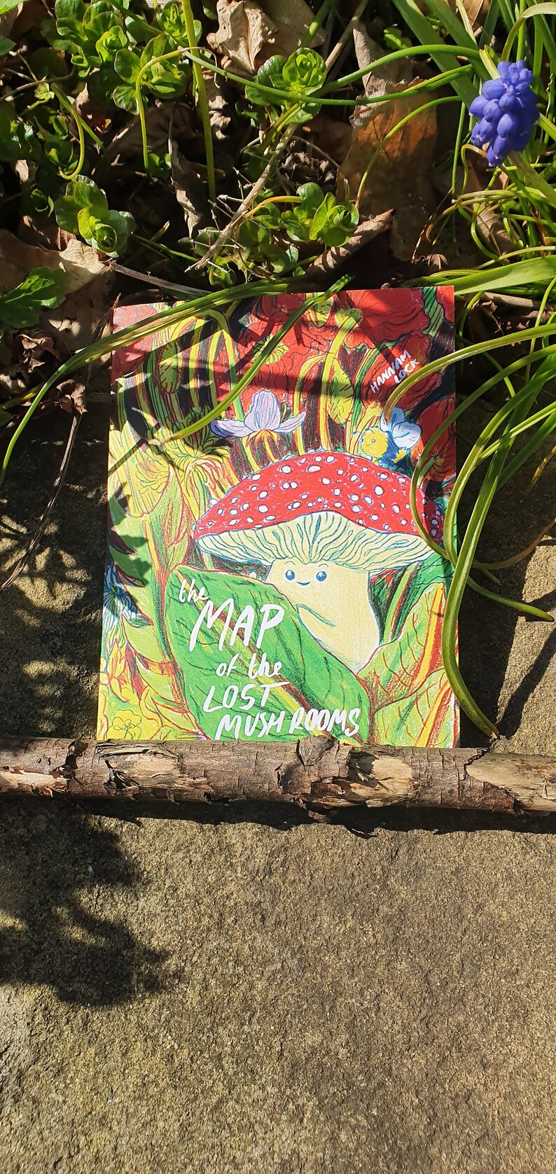 The Map of Lost Mushrooms Concertina Zine Etsy UK