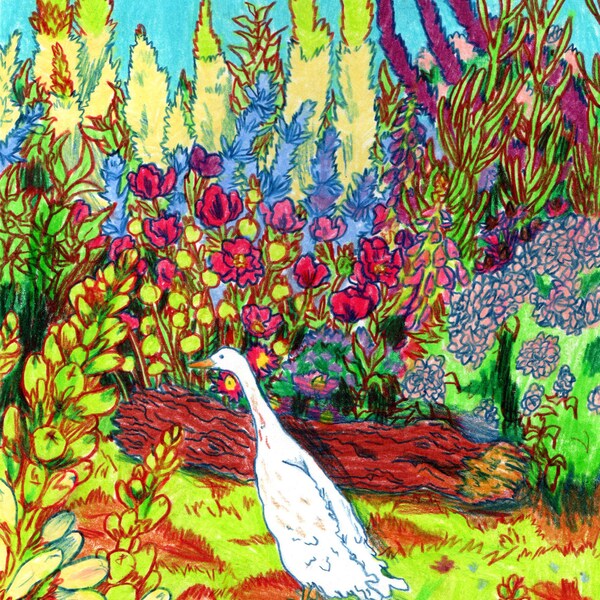 Runner Duck - A5 Original Drawing
