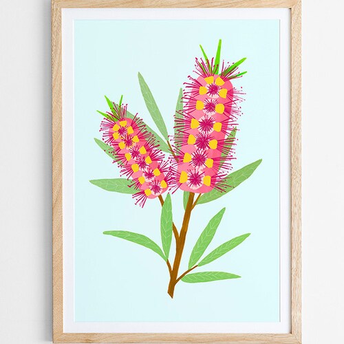 Bottlebrush Flower Art Print / Australian Flora / Giclee Print Etsy