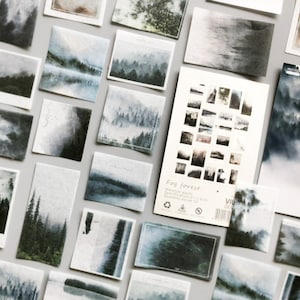 50 pezzi, adesivi per planner, decorazione album fotografico, adesivi carini, adesivi per diario, temi natura