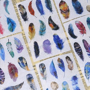 6 folhas, adesivos de penas, adesivo de pluma, adesivos coloridos, papel de carta kawaii, adesivo de álbum de recortes, diário, adesivo fofo, temas da natureza