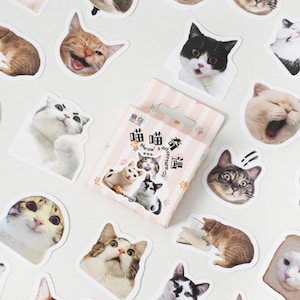 46 piezas, pegatinas de gatos lindos, pegatinas de animales, escamas de pegatinas, pegatinas de planificador, papelería kawaii, pegatinas de álbum de recortes, pegatinas de diario
