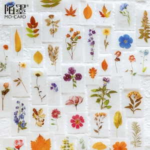 25 pcs, Stickers plantes, Stickers fleurs, feuille, décoration d'album photo, journal, Sticker agenda, Sticker scrapbooking, Thèmes de la nature