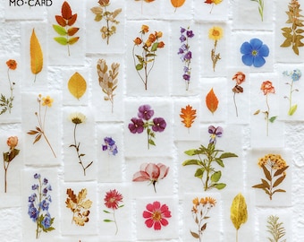 25pcs, Plant stickers, flowers stickers, leaf, photo album decoration, journal, Planner Sticker, Scrapbook Sticker, Nature themes