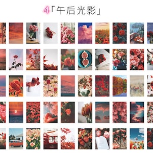 May include: A collage of 36 images featuring various floral arrangements, landscapes, and still life scenes. The images are arranged in a grid pattern and feature a variety of colours, including red, pink, white, and green. The text "4 年后 光影" is displayed at the top of the collage.