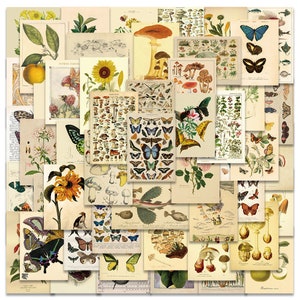50 piezas, pegatinas de plantas, pegatinas de insectos, pegatinas de maletas, pegatinas impermeables, pegatinas de equipaje, papelería kawaii, pegatinas de álbum de recortes