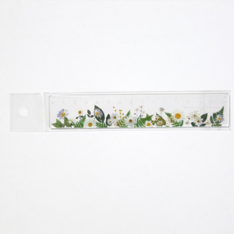 Ruler, Drawing Ruler, Cute Ruler, Kawaii Stationery, Student Ruler ...