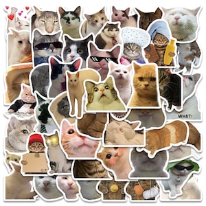 50 piezas, gato súper lindo, pegatinas para maletas, pegatinas impermeables, pegatinas para equipaje, papelería kawaii, pegatinas para álbumes de recortes, juego de pegatinas