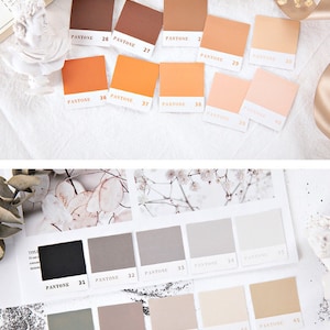 May include: A set of 45 color swatches, labeled with Pantone numbers, arranged in rows on a white surface. The swatches are in various shades of brown, orange, gray, and beige.