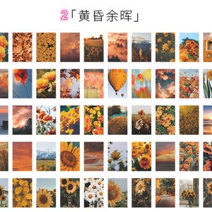 May include: A collage of 36 images featuring various scenes of nature, including flowers, landscapes, and sunsets. The images are arranged in a grid pattern and are all in a warm colour palette.
