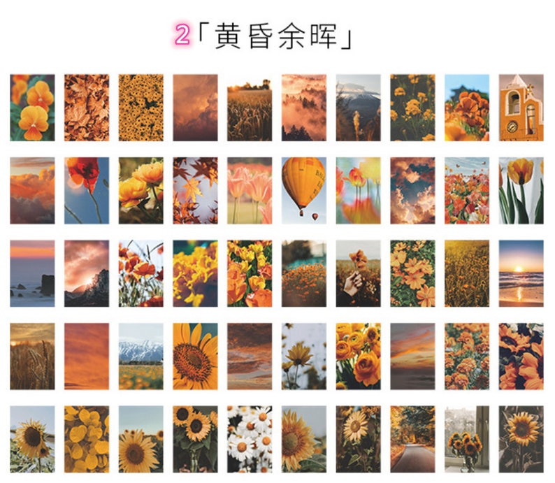 May include: A collage of 36 images featuring various scenes of nature, including flowers, landscapes, and sunsets. The images are arranged in a grid pattern and are all in a warm colour palette.